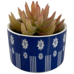 Planta Con Pote Azul 7.5x7.5x11 cms Concepts