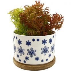 Planta Con Pote Blanco 7.5x7.5x11 cms Concepts