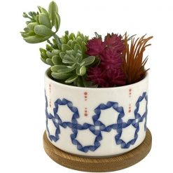 Mix Plantas Con Pote Blanco 7.5x7.5x11 cms Concepts