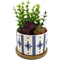 Mix Plantas Con Pote 7.5x7.5x11 cms Concepts