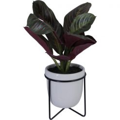 Planta Con Pote 22X20X30Cm Sterling Collection Concepts