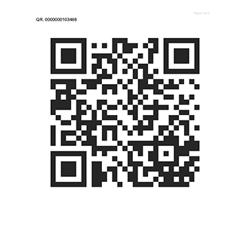 10000400336-2