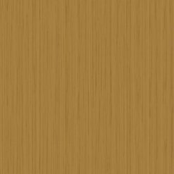 Papel Mural SN998095 fjäder