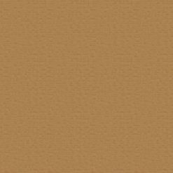 Papel Mural SN998148 fjäder