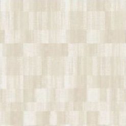 Papel Mural WF3102 fjäder