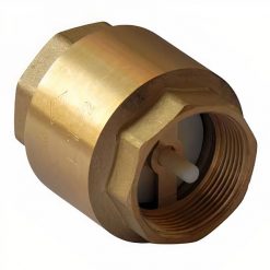 Válvula Retención Chapaleta 3/4 Pulgada Taumm