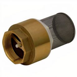 Válvula Fondo (Pie) c/Filtro Acero Inox. 2 Pulgadas Taumm