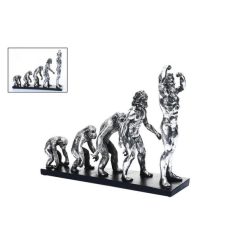 Evolución Glitz 33x11x25 Concepts