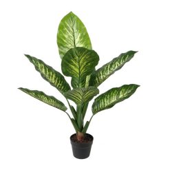 Planta con Pote 90x60x90 cms Concepts