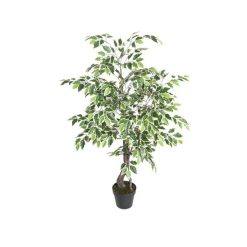 Planta con Pote 120x60x120 cms Concepts