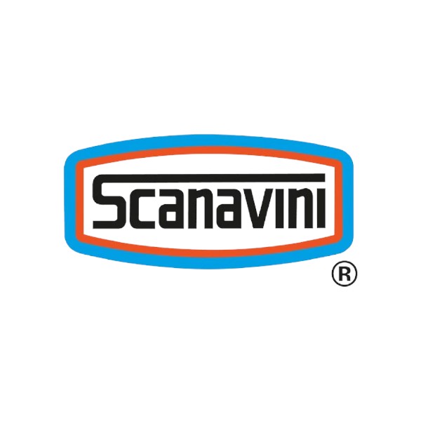 Scanavini